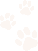 paw-left
