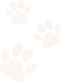 paw-right