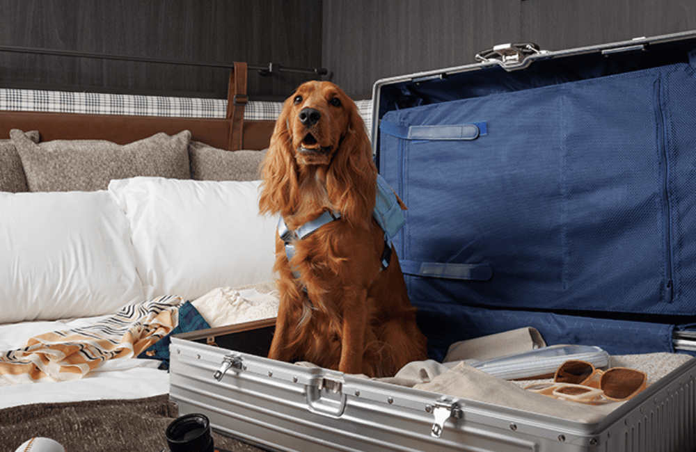 Origin Residences Sukhumvit Rama 4