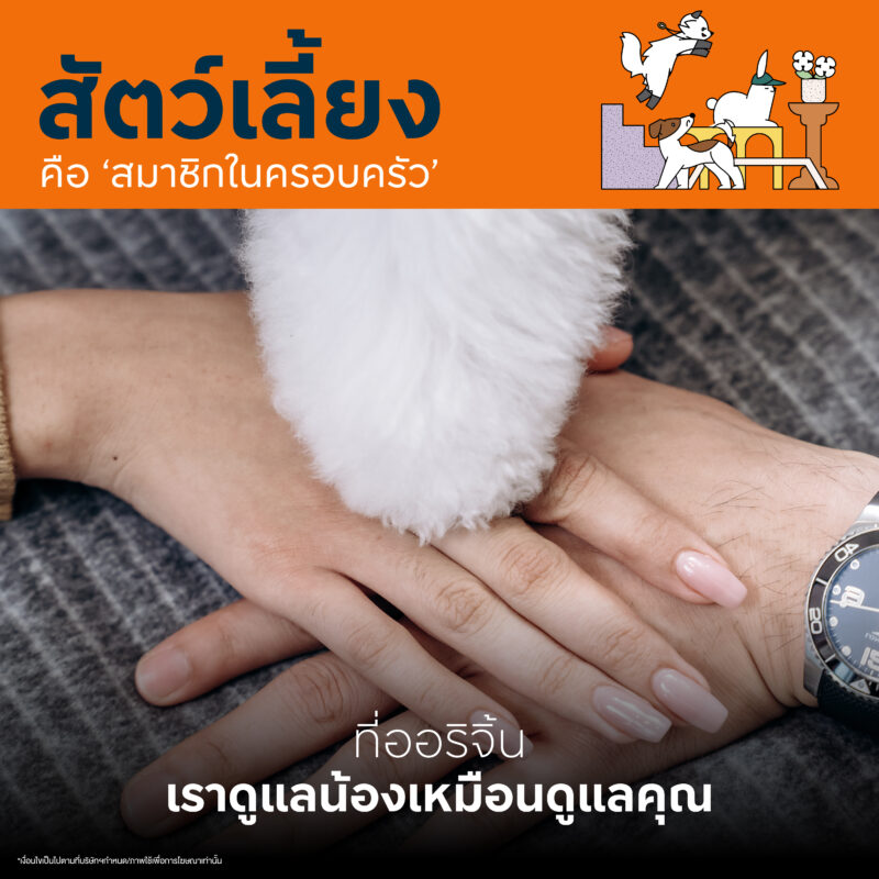 ORIGIN PET FRIENDLY CONDO 2024 ออริจิ้น คอนโดเลี้ยงสัตว์ได้ 2567