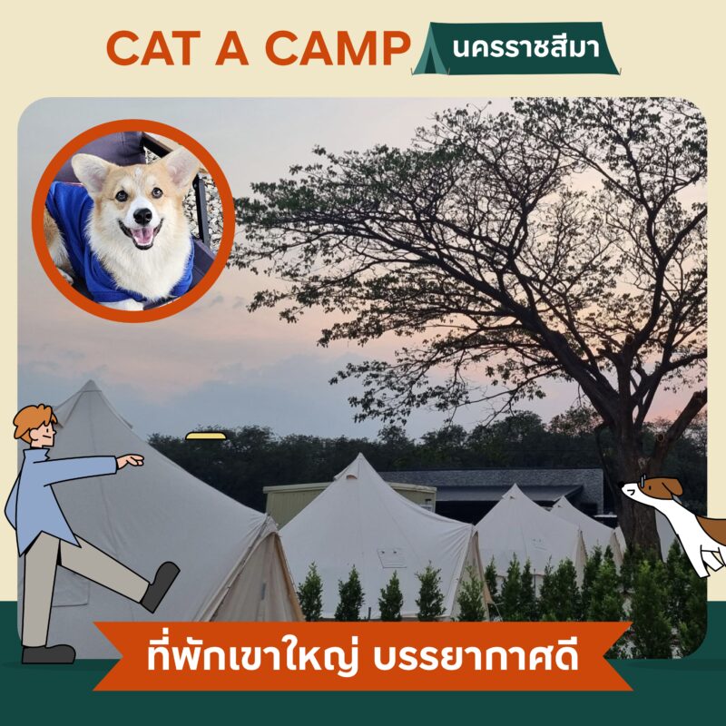 Pet Friendly Camping นอนเต็นท์ ตั้งแคมป์ รอบกองไฟกับคู่หูสี่ขา