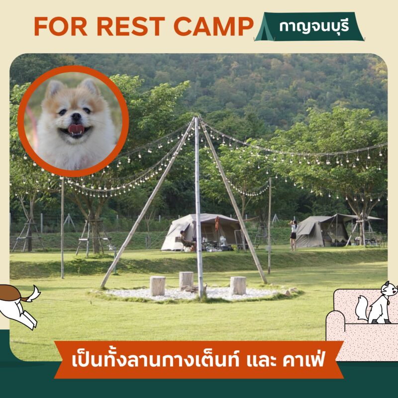 Pet Friendly Camping นอนเต็นท์ ตั้งแคมป์ รอบกองไฟกับคู่หูสี่ขา