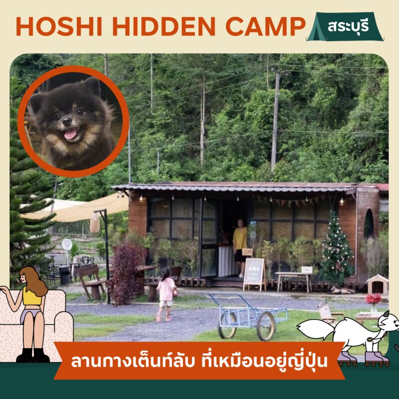 Pet Friendly Camping นอนเต็นท์ ตั้งแคมป์ รอบกองไฟกับคู่หูสี่ขา