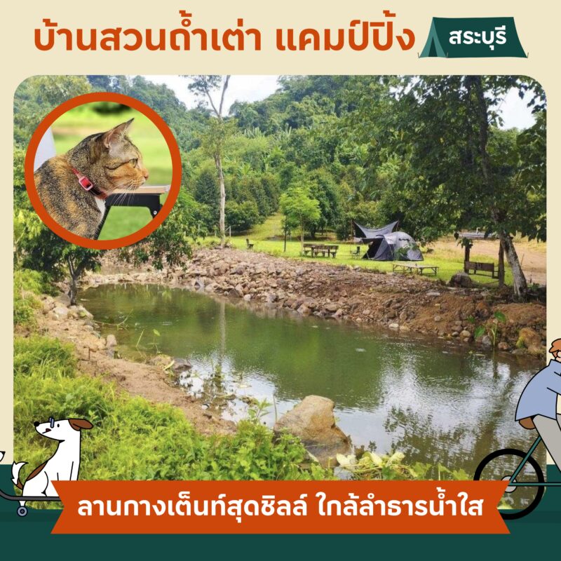 Pet Friendly Camping นอนเต็นท์ ตั้งแคมป์ รอบกองไฟกับคู่หูสี่ขา