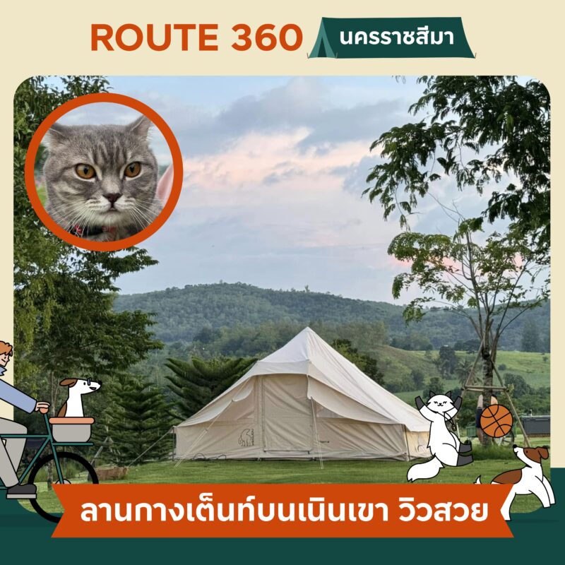 Pet Friendly Camping นอนเต็นท์ ตั้งแคมป์ รอบกองไฟกับคู่หูสี่ขา