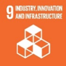 sdgs-09