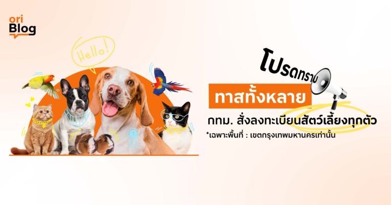กทม สั่ง ลงทะเบียนสัตว์เลี้ยง