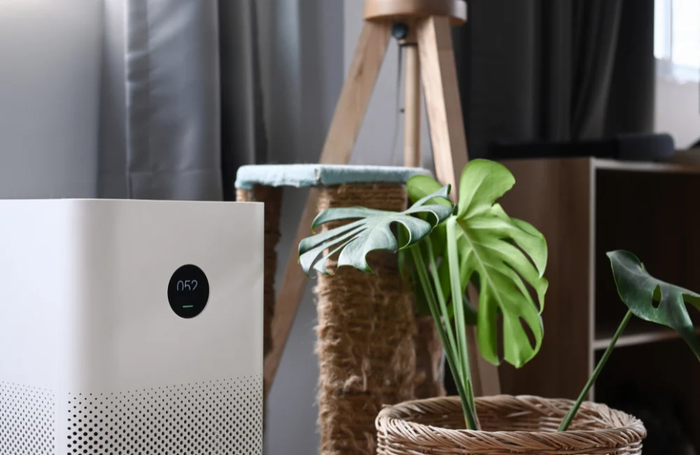 เครื่องฟอกอากาศในห้องนอน