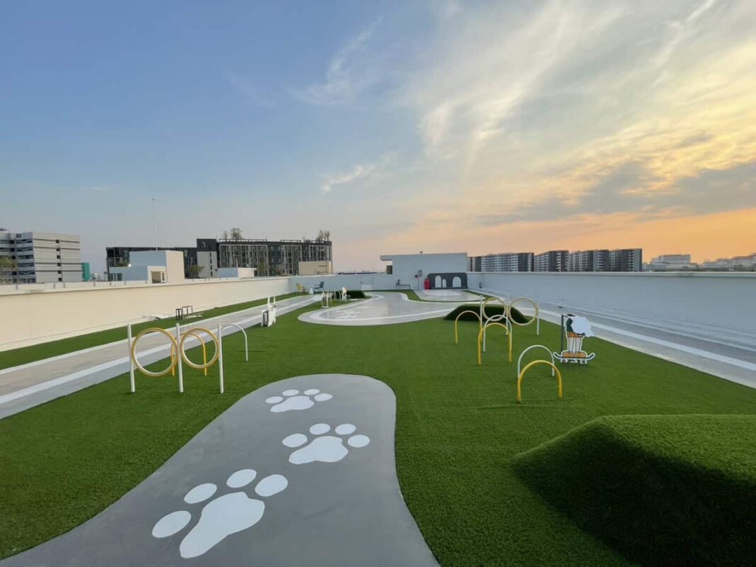 Progress The Origin Phahol57_3