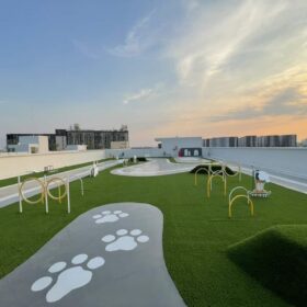 Progress The Origin Phahol57_3