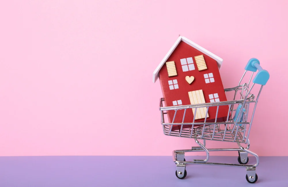 หนังสือปลอดหนี้