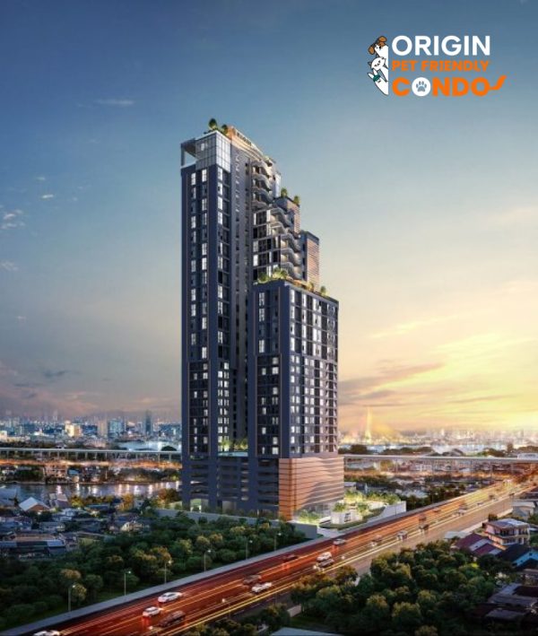 ORIGIN PLAY Bangkhunnon Building Pet