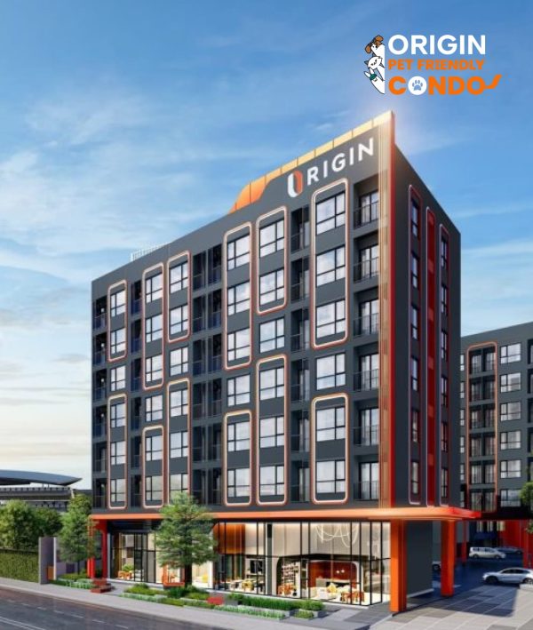 ORIGIN PLAY Sriudom Building Pet