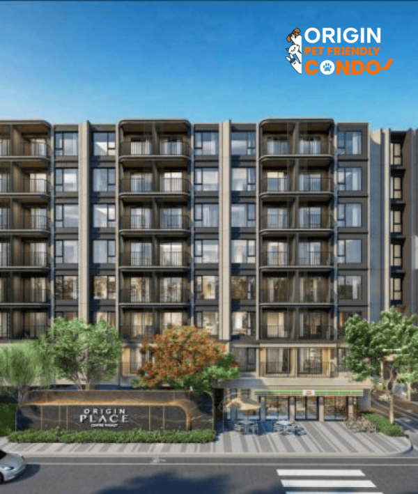 Origin Place - Center Phuket Pet Cover Jan26