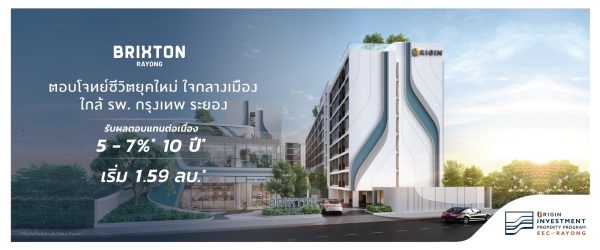 BRIXTON RAYONG