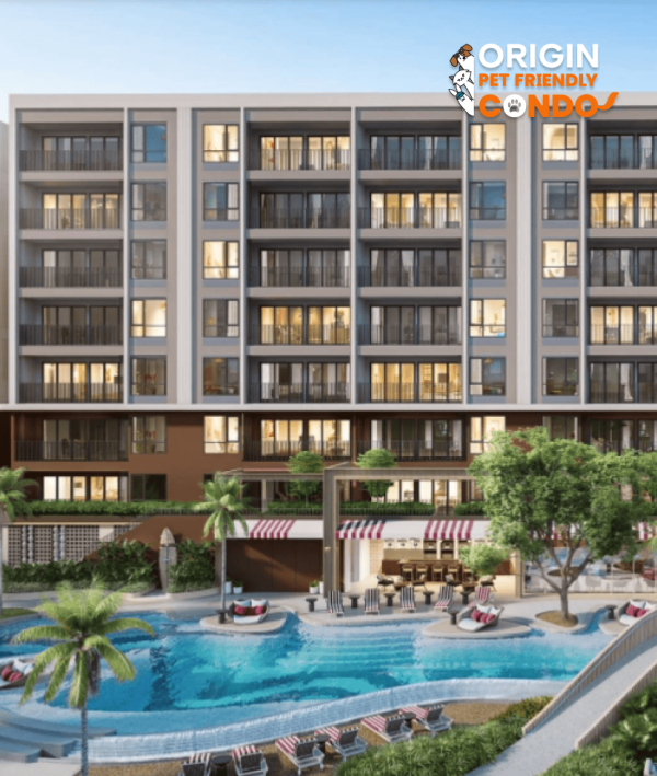 So Origin - Kata Beach Pet Cover Jan26