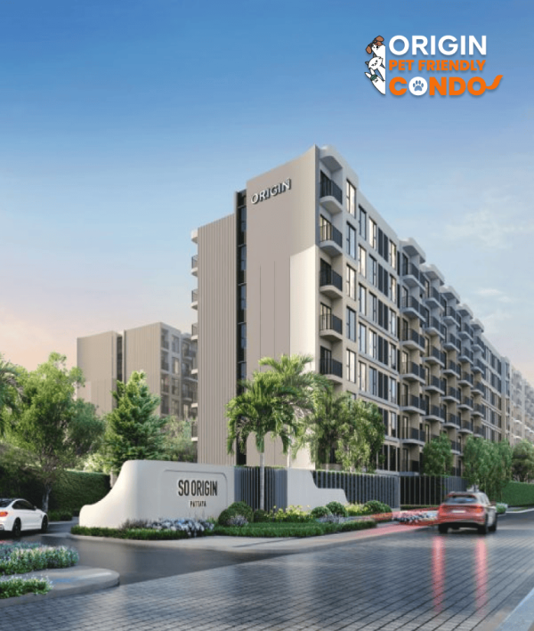 So Origin - Pattaya Pet Cover Jan26