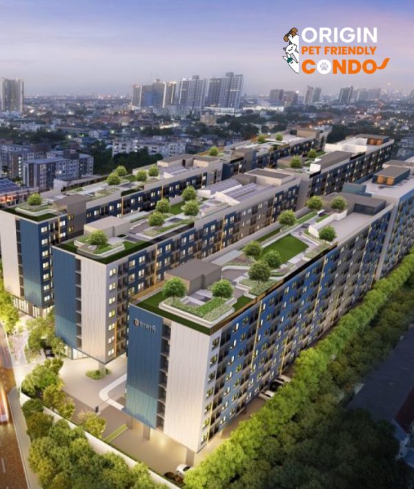 THE ORIGIN Bangkae Building Pet