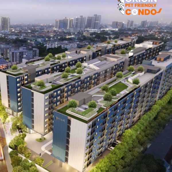 THE ORIGIN Bangkae Building Pet