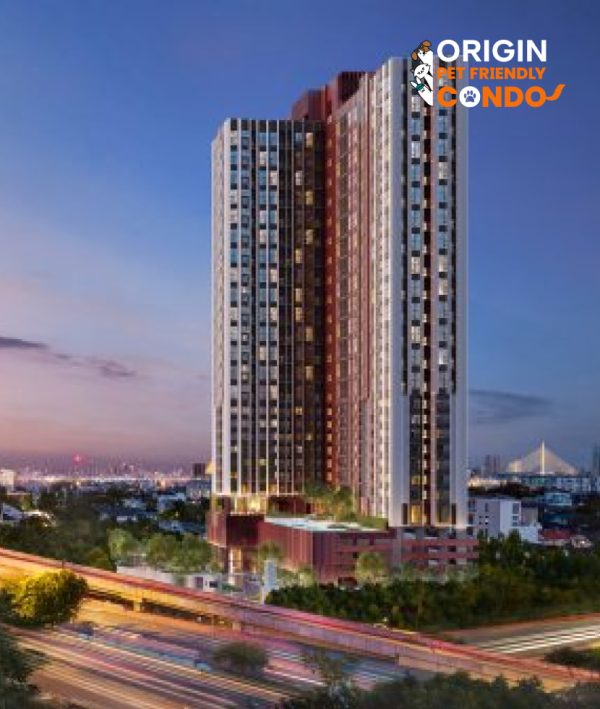 THE ORIGIN Pinklao Building Pet