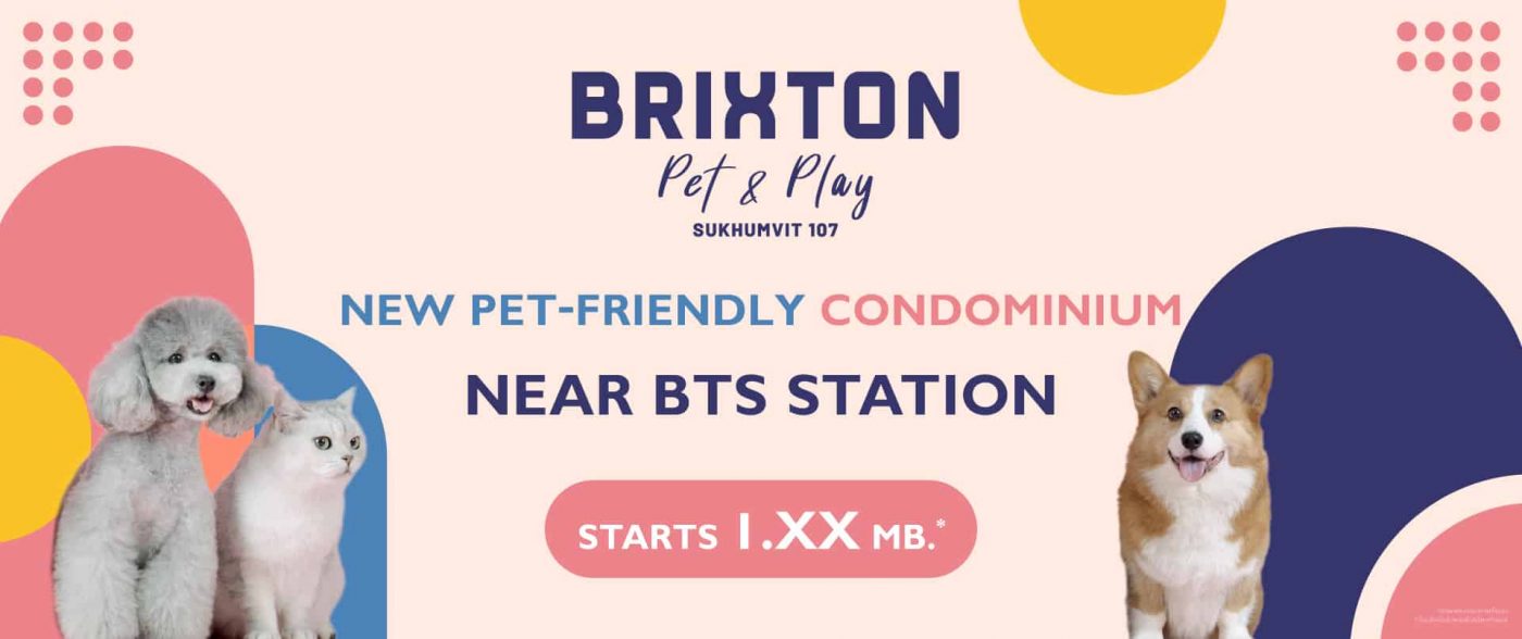brixton-pet-and-play-sukhumvit-107